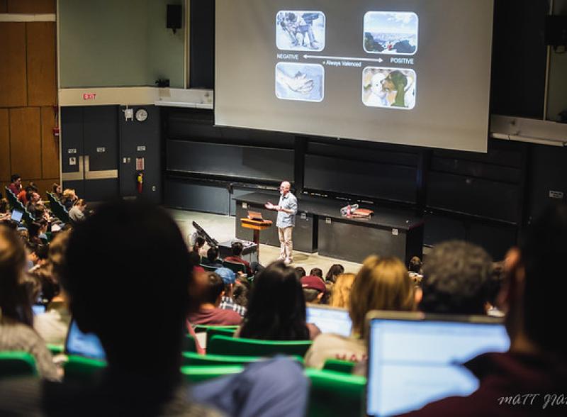 Class in a large lecture room